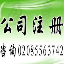 廣州工商注冊 代理記賬,公司注冊價(jià)格 廣州工商注冊 代理記賬,公司注冊型號規(guī)格